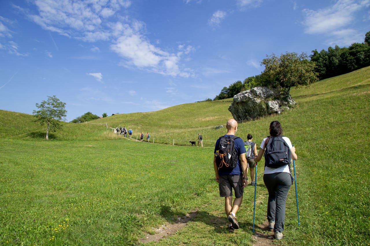 Services Back view of a couple with backpacks hiking on a green grassland path under a clear blue sky.