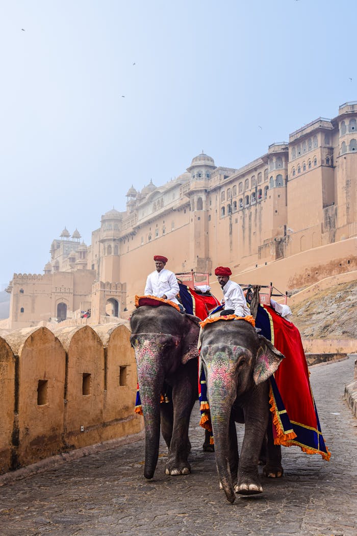 Services Men in traditional attire riding elephants at Amber Fort, Jaipur, India, showcasing cultural heritage.